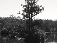 26296RoCrBwSaLe - Vacationing at the cottage - Kayaking to The Marsh with Beth - Andy   Each New Day A Miracle  [  Understanding the Bible   |   Poetry   |   Story  ]- by Pete Rhebergen
